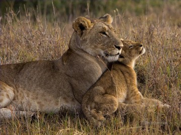 動物 Painting - ライオンの赤ちゃんとお母さん